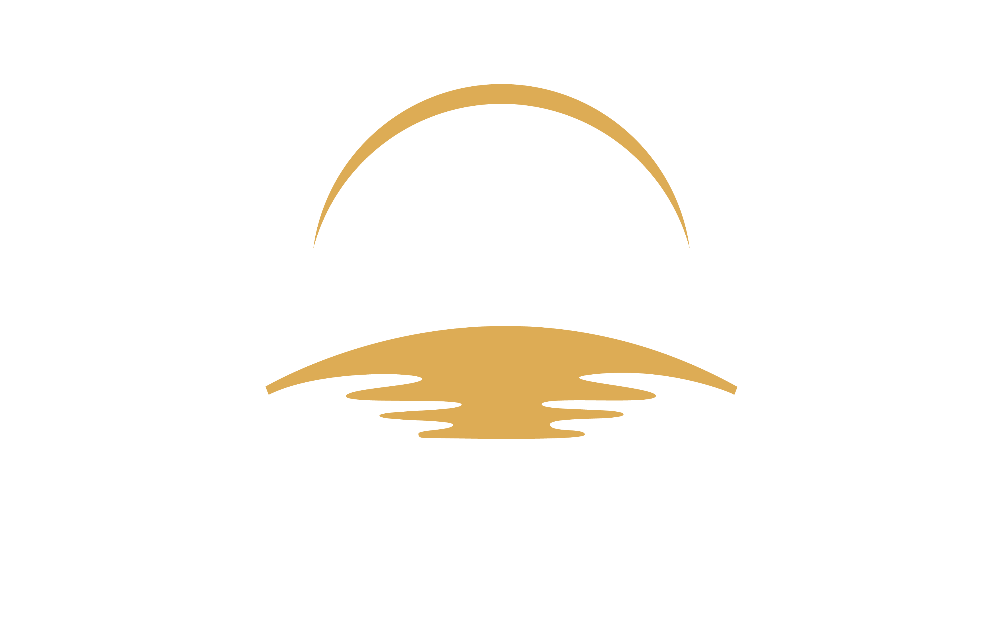 oceanbear